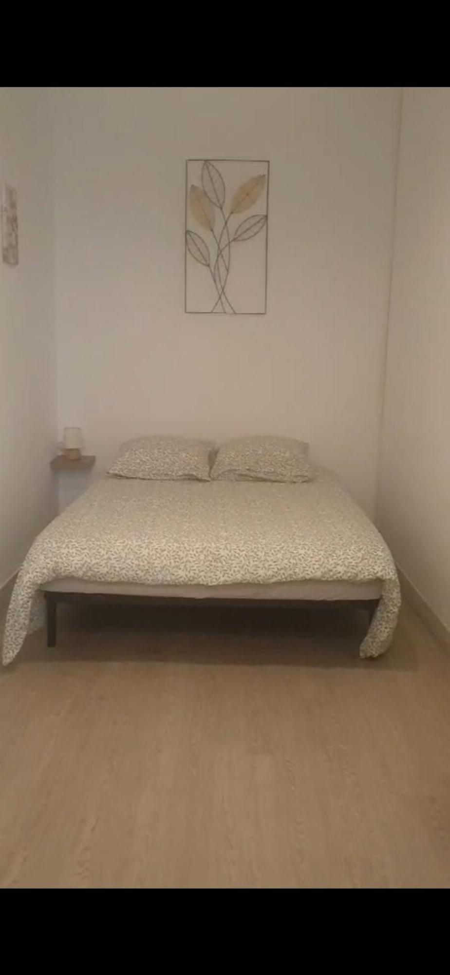 Appartement T3 Rez De Jardin Marsiglia Esterno foto